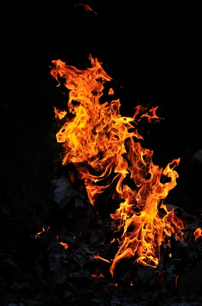 Fogo selvagem — Fotografia de Stock