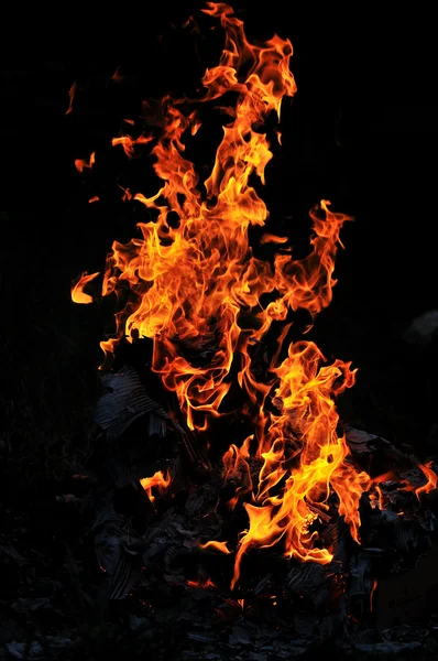 Wild fire — Stock Photo, Image