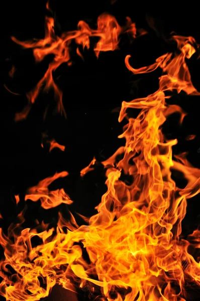 Divoký oheň — Stock fotografie