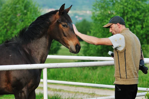 Photographer and horse — Stock Photo, Image