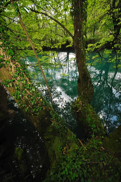 Divoké řeky vodopád — Stock fotografie