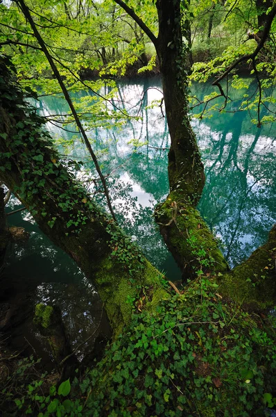 Divoké řeky vodopád — Stock fotografie