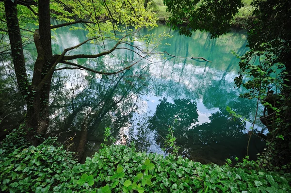 Cascata del fiume selvaggio — Foto Stock