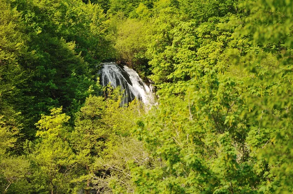 Дикий водопад — стоковое фото