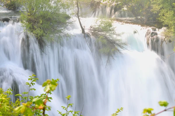 野生の川の滝 — ストック写真