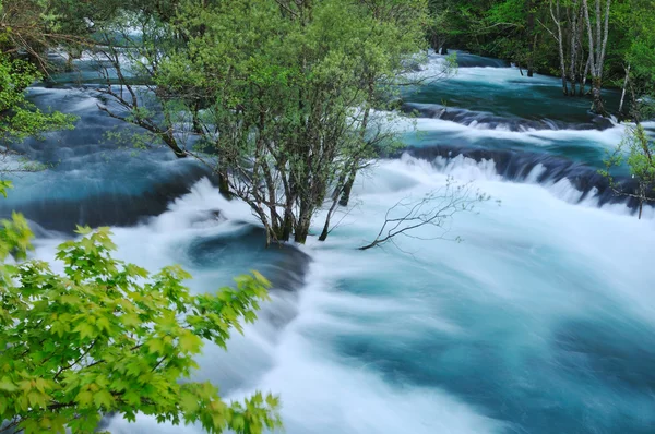 River waterfall wild — Stock Photo, Image