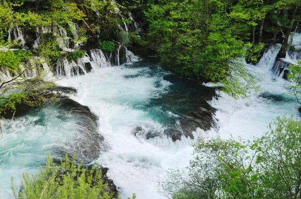 River waterfall wild — Stock Photo, Image