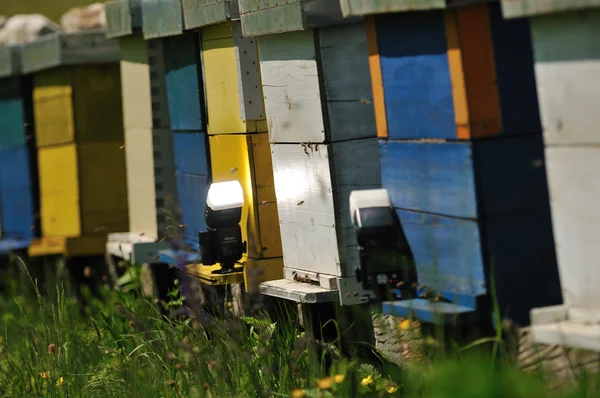Casa de abejas en el prado —  Fotos de Stock