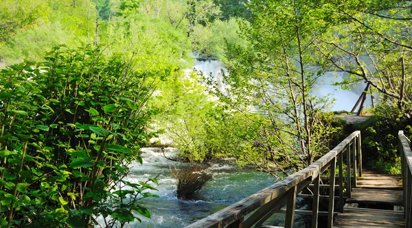 Taze temiz doğa ile ahşap köprü — Stok fotoğraf