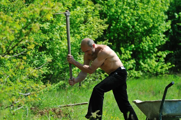 男性の庭の仕事 — ストック写真