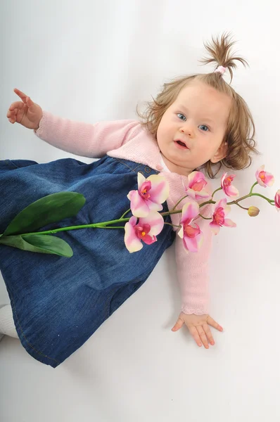Детский цветок — стоковое фото
