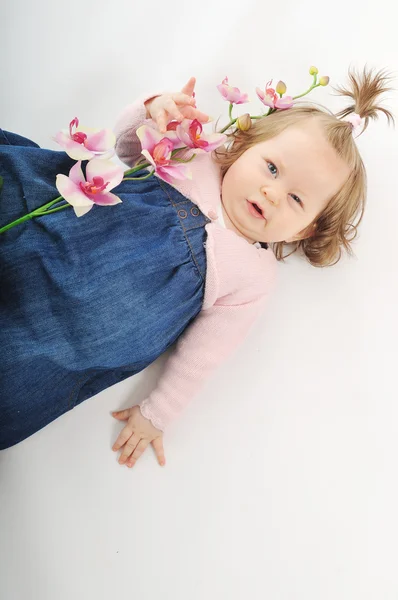 Flor bebé — Foto de Stock