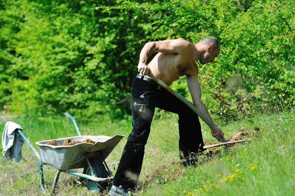 Homme travail de jardin — Photo