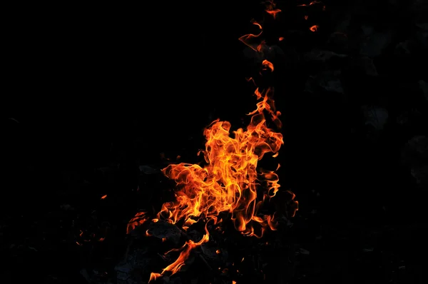 산불 — 스톡 사진