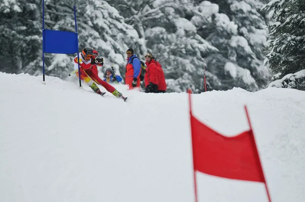 Лыжная гонка — стоковое фото