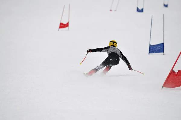 Carrera de esquí —  Fotos de Stock