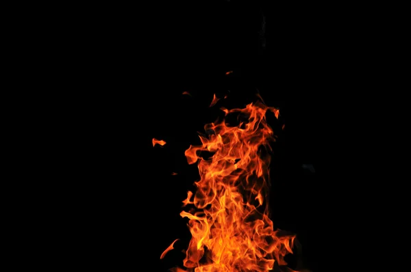 Vad tűz — Stock Fotó