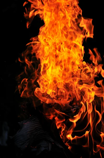 Dziki ogień — Zdjęcie stockowe