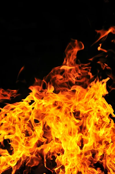 Wild fire Royalty Free Stock Images
