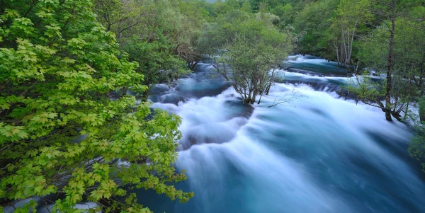 野生の川の滝 ストック画像