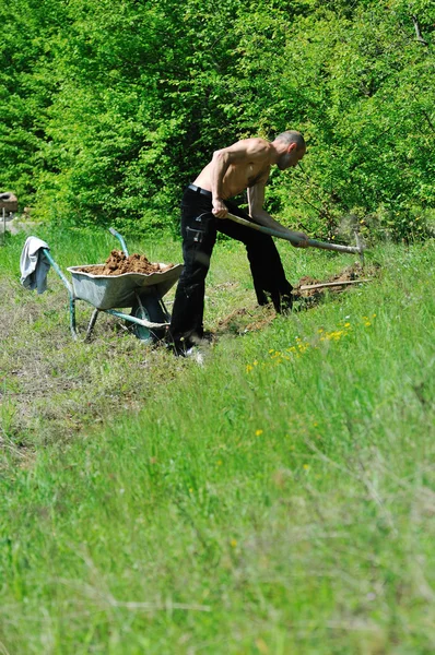 Man garden work Stock Photo