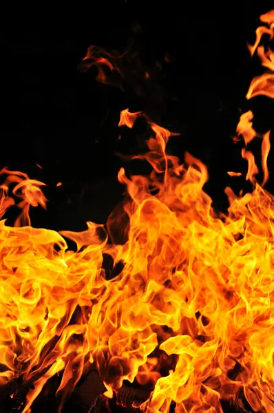 Wild fire Royalty Free Stock Images