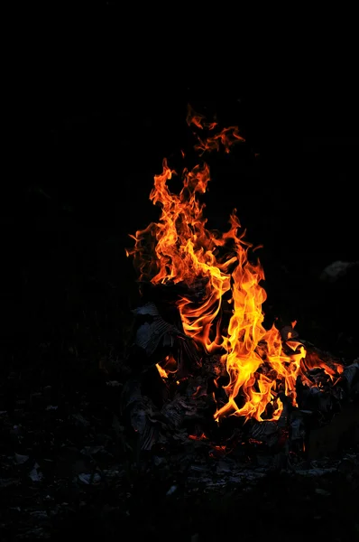 Дикий огонь — стоковое фото
