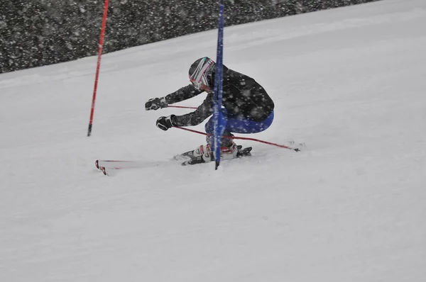 Ski race — Stock Photo, Image