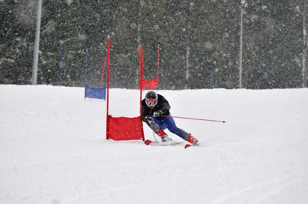 Wyścig narciarski — Zdjęcie stockowe