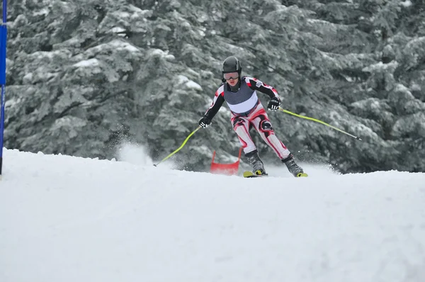 Kayak yarışı — Stok fotoğraf