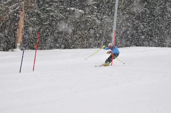 Лыжная гонка — стоковое фото