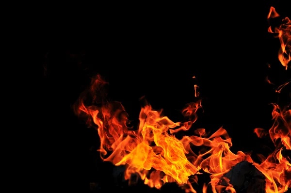 Wild fire — Stockfoto