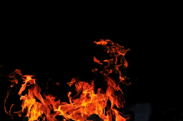 Дикий огонь — стоковое фото