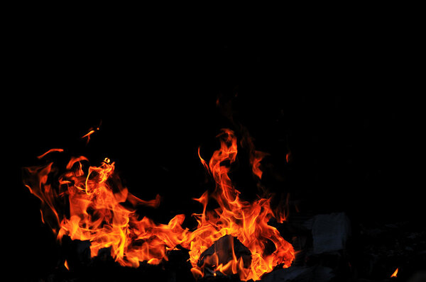 Wild fire flames burn hot with black background