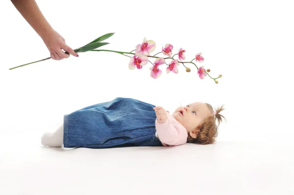 stock image Baby flower