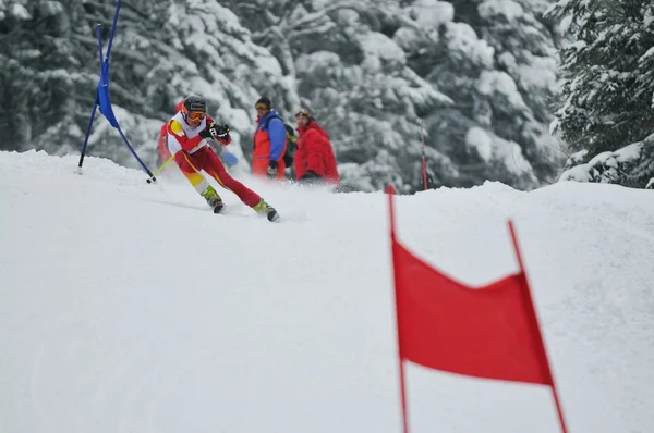 Carrera de esquí — Foto de Stock