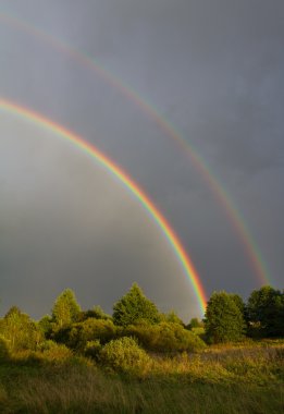 Beautiful rainbow in sky clipart