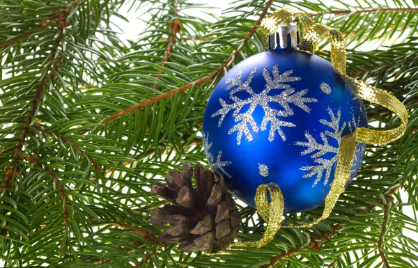 Blue ball and cone on fir tree branches — Stock Photo, Image