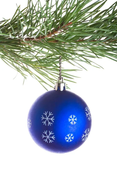 Blue ball on pine tree branch — Stock Photo, Image