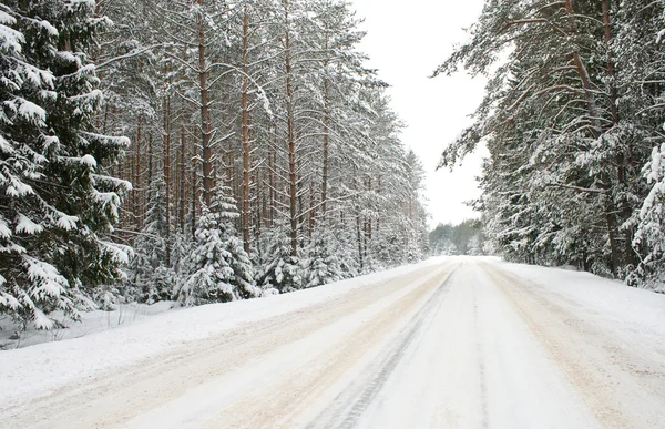 Kar ülkede yol — Stok fotoğraf