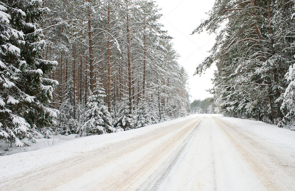 Country road in snow