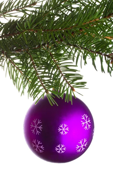 モミの木の枝に紫色のボール — ストック写真