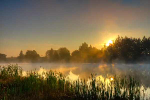 Драматический восход солнца на озере — стоковое фото
