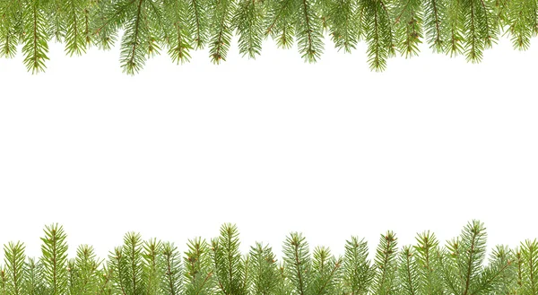 Frame from firtree branches — Stock Photo, Image