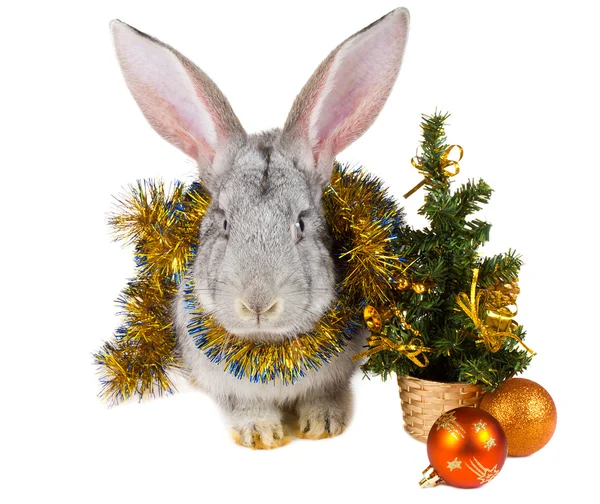 Conejo gris y decoraciones navideñas —  Fotos de Stock