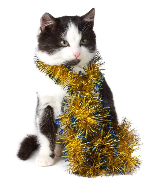 Kotek i świąteczne ozdoby — Zdjęcie stockowe
