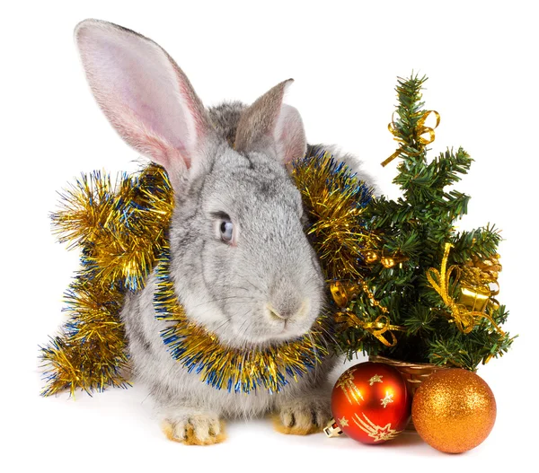 Conejo y decoraciones navideñas — Foto de Stock