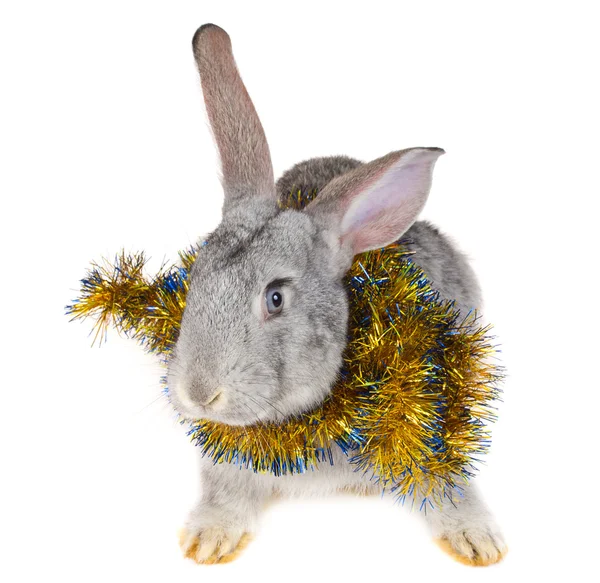 Кролик и рождественские украшения — стоковое фото