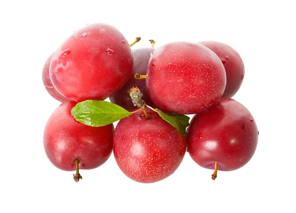 Wet ripe plums — Stock Photo, Image