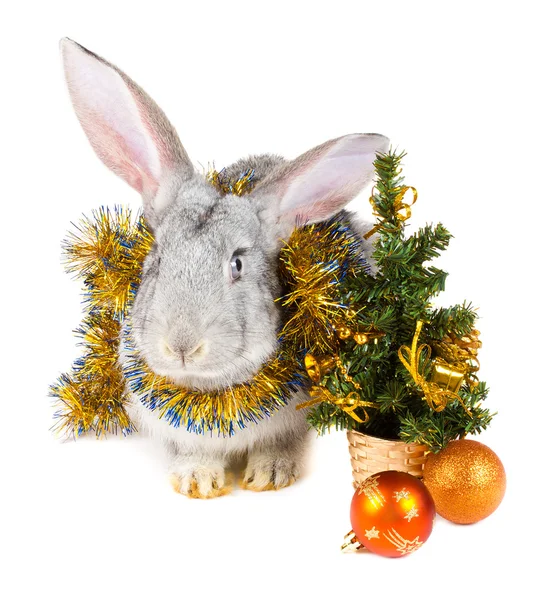 灰兔和圣诞装饰品 — 图库照片